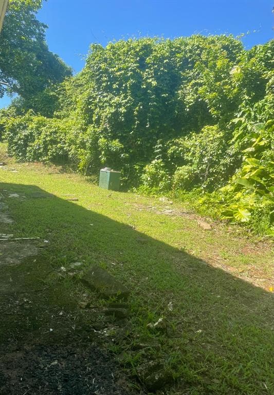 Carr 842 CAIMITO ALTO - Interior/Exterior Photo 4 - SAN JUAN, PR