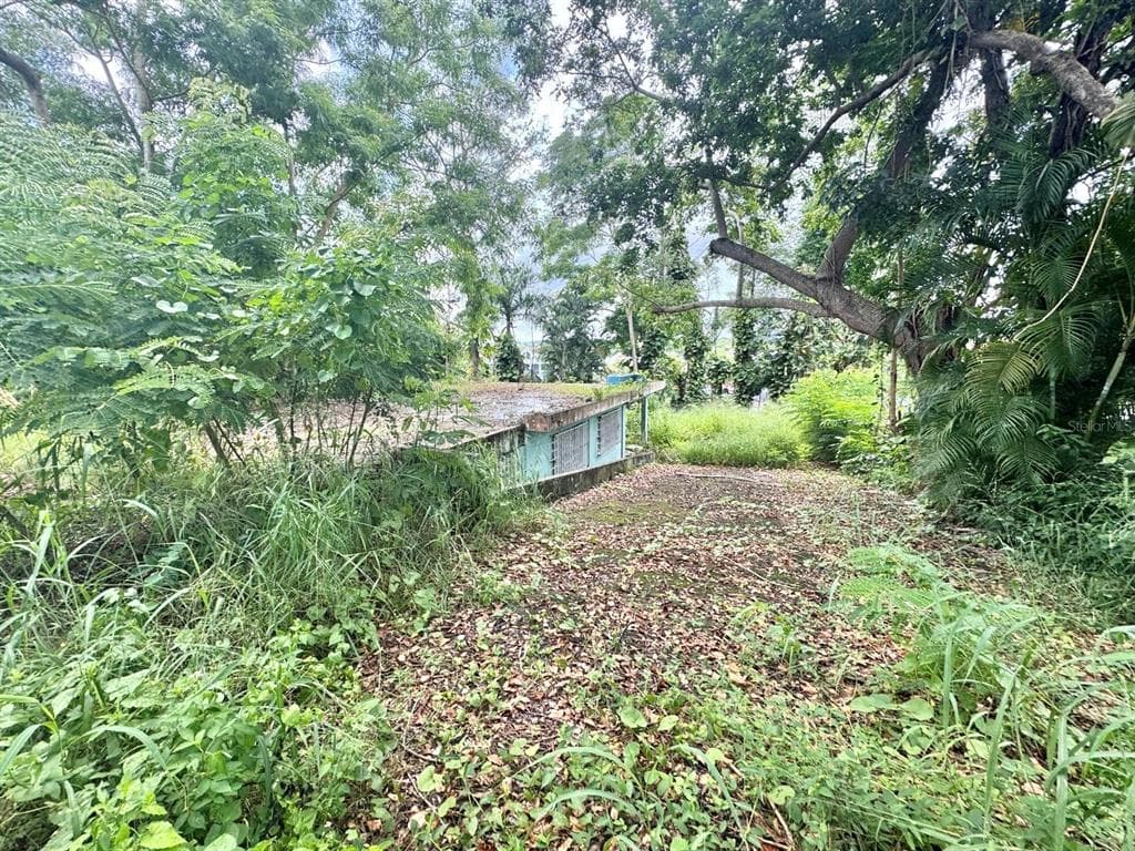 Carr 842 CAIMITO ALTO - Interior/Exterior Photo 2 - SAN JUAN, PR