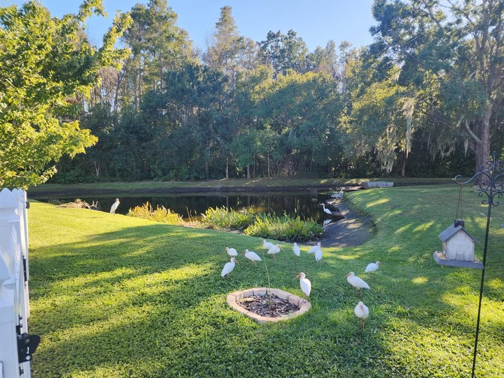 1345 KINSMERE DRIVE - Interior/Exterior Photo 3 - TRINITY, FL