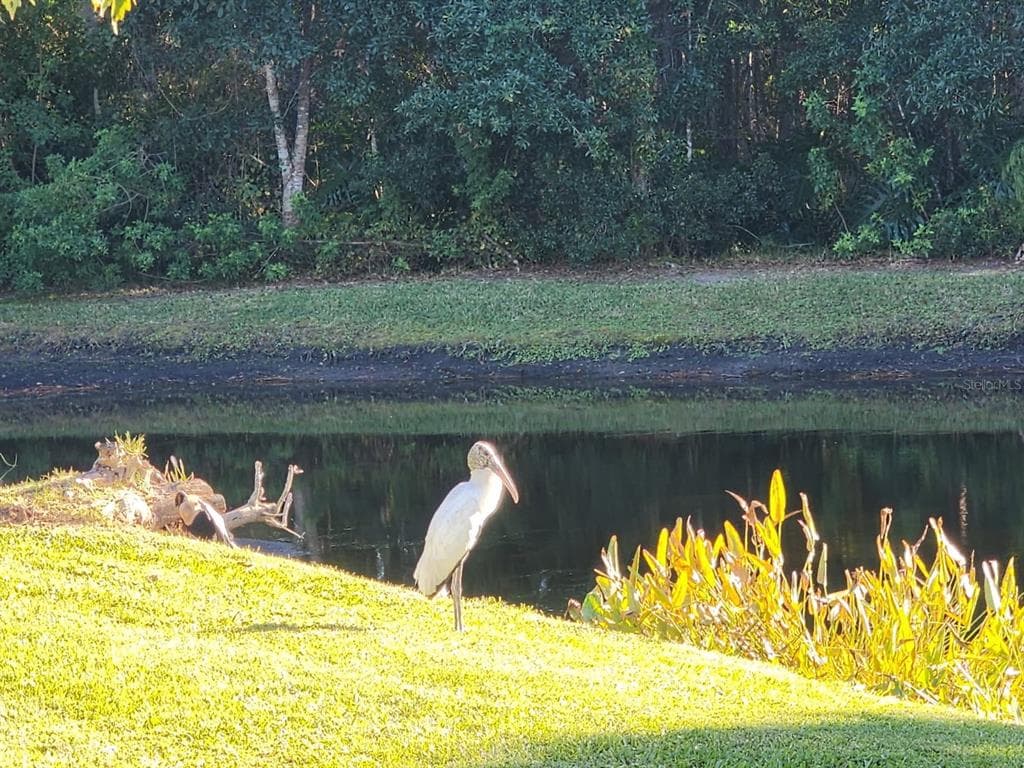 1345 KINSMERE DRIVE - Interior/Exterior Photo 4 - TRINITY, FL