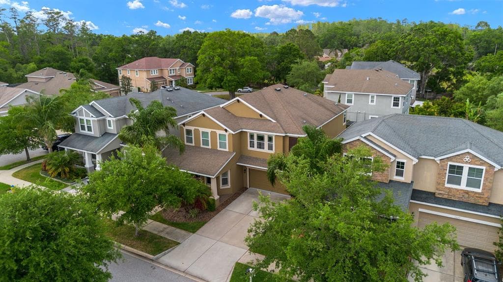 7029 DOWLING MILL CIRCLE - Interior/Exterior Photo 2 - TAMPA, FL