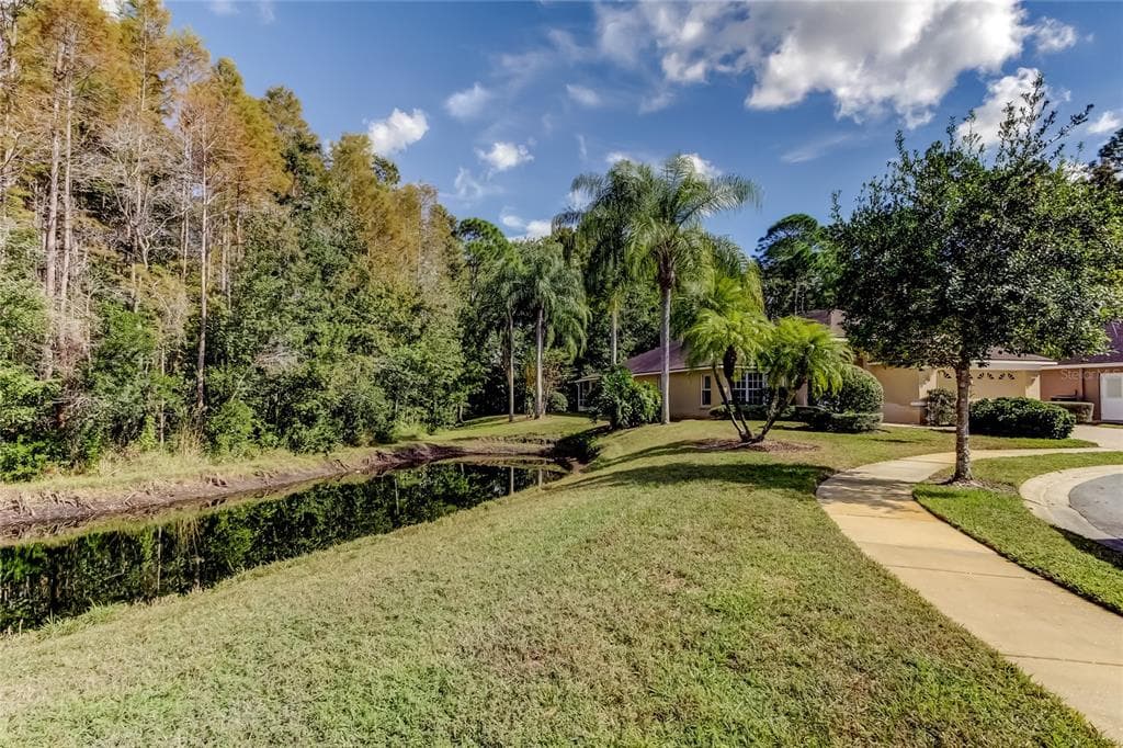 1610 CORTLEIGH DRIVE - Interior/Exterior Photo 5 - TRINITY, FL