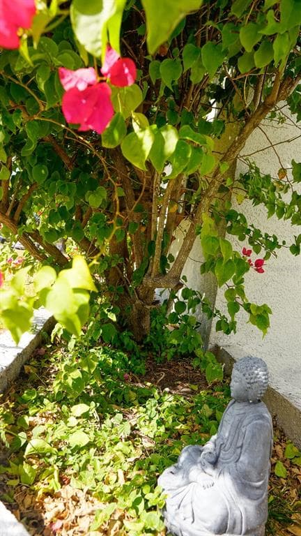 2363 68TH AVE S - Interior/Exterior Photo 3 - ST PETERSBURG, FL