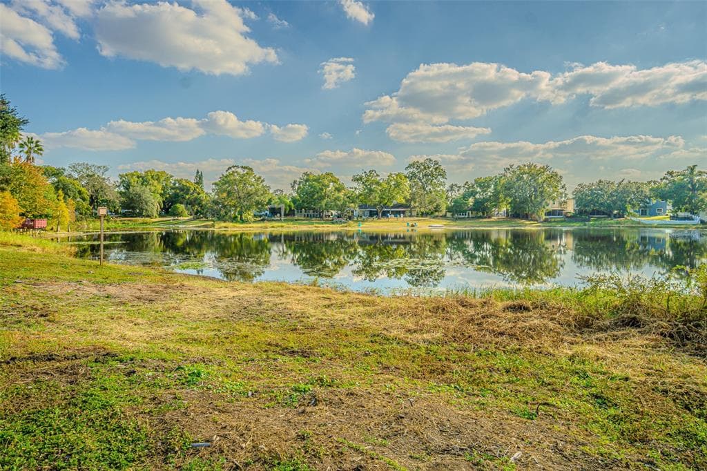 12510 FOREST HILLS DRIVE - Interior/Exterior Photo 5 - TAMPA, FL