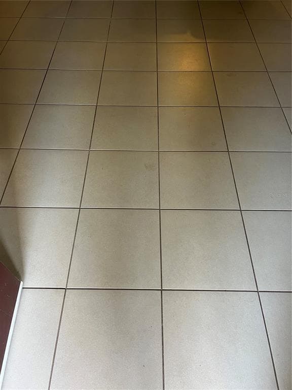 1453 RYLEE ROCK WAY - Interior/Exterior Photo 3 - KISSIMMEE, FL