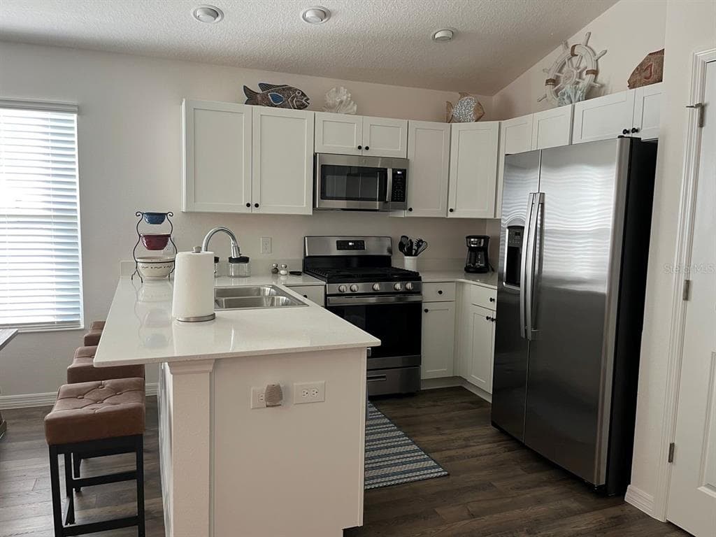 1535 PJ MARTIN COURT - Interior/Exterior Photo 3 - THE VILLAGES, FL