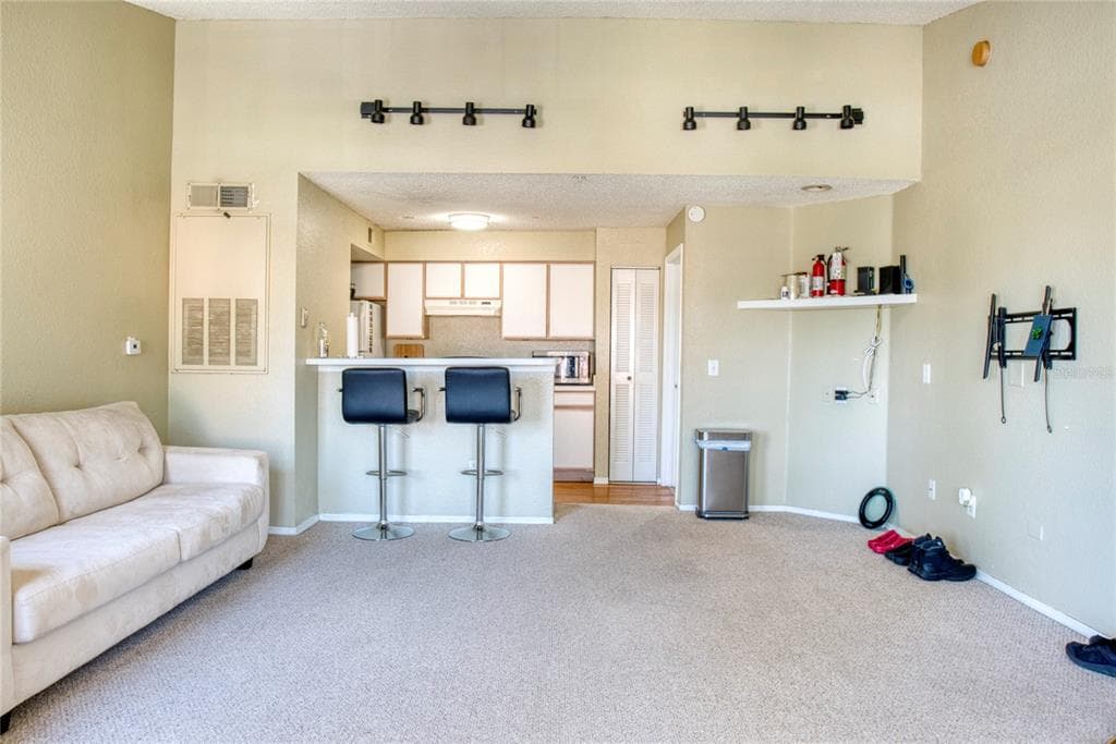 4105 TROPICAL ISLE BOULEVARD UNIT 231 - Interior/Exterior Photo 5 - KISSIMMEE, FL